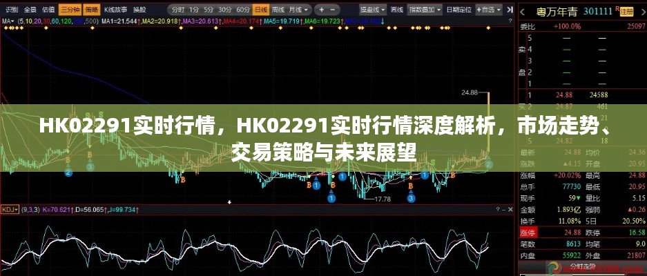 HK02291实时行情深度解析，市场走势、交易策略及未来展望展望