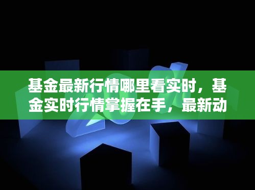 基金实时行情掌握在手，最新动态分析与投资指南