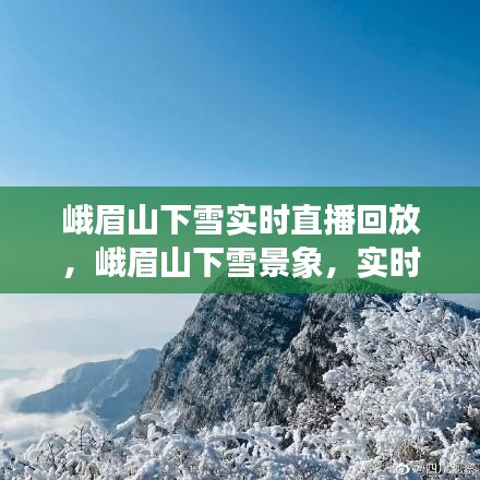 峨眉山下雪，实时直播回放与观雪感悟