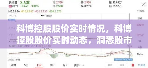 科博控股股价实时动态及投资策略洞悉，洞悉股市波动与投资决策指南