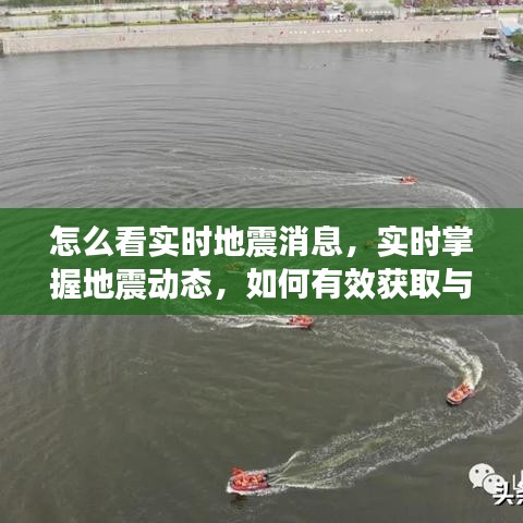 实时掌握地震动态，如何有效获取与分析地震消息