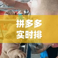 拼多多实时商品排行查看指南，轻松掌握热门商品动态