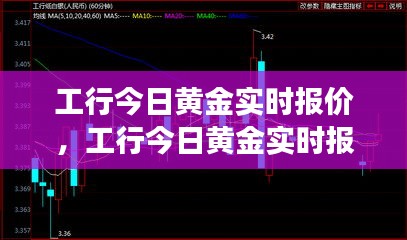 工行今日黄金实时报价，黄金市场动态与投资策略详解