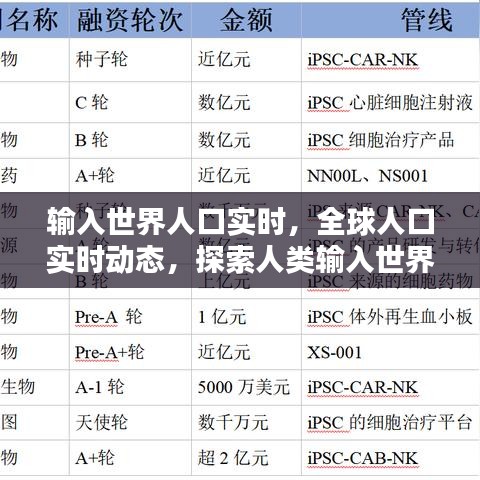 全球人口实时动态，探索人类新纪元的人口变迁之路