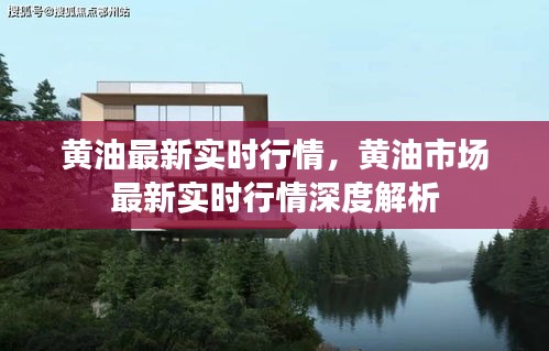 黄油市场最新实时行情深度解析与走势预测