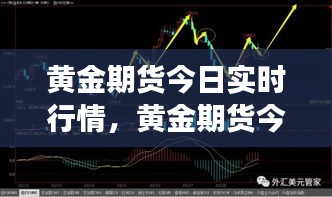 黄金期货今日实时行情解析，市场洞察与走势分析