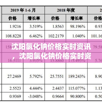 沈阳氯化钠价格实时资讯，市场走势、影响因素与未来预测分析