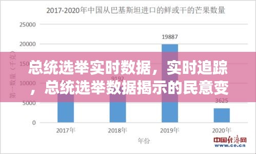 总统选举实时数据与民意变迁，揭示未来走向的追踪分析