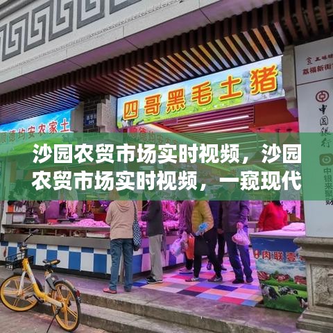 沙园农贸市场实时视频，一窥现代农贸市场的繁荣与活力现场