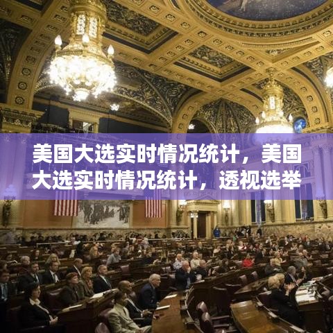 美国大选实时统计，揭示选举进程与民意动向的透视分析