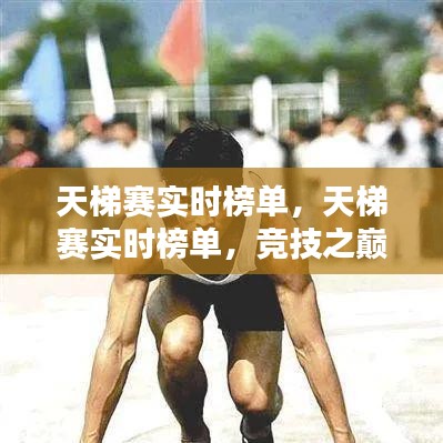 天梯赛实时榜单，竞技之巅的荣耀之战