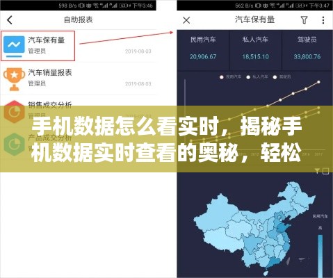 揭秘手机实时数据查看技巧，轻松掌握动态信息一览无余