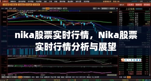 Nika股票实时行情分析与展望今日股市动态