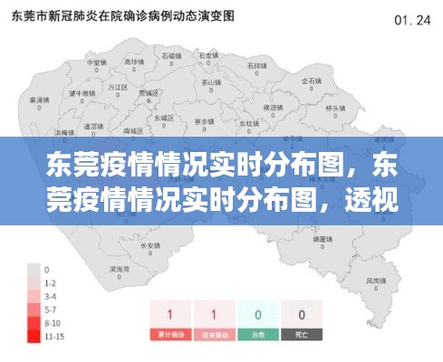 东莞疫情实时分布图，透视防控进展与策略调整动态