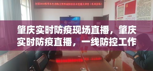 肇庆实时防疫直播，一线防控透明窗口与全民参与的力量展现