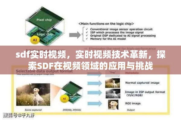 SDF实时视频技术革新，探索应用领域与挑战