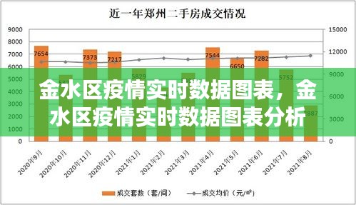 金水区疫情实时数据图表及分析概览