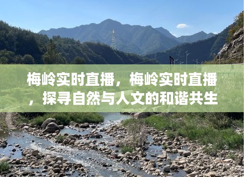 梅岭实时直播，探寻自然与人文的和谐共生之旅