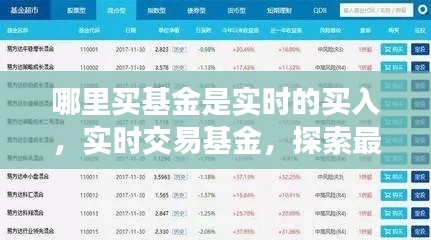 实时交易基金，探索最佳购买渠道与策略，实现实时买入梦想！