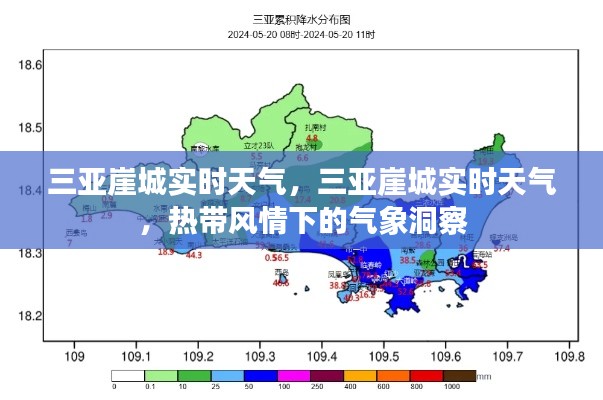 三亚崖城热带风情下的实时气象洞察