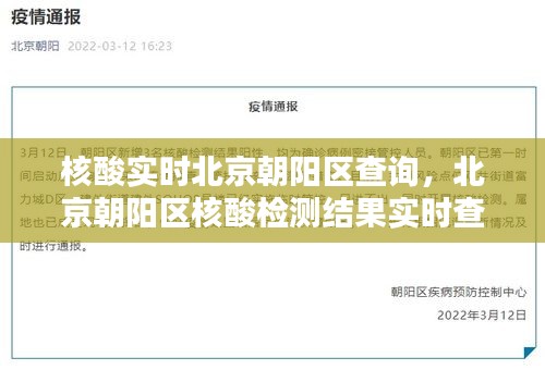 北京朝阳区核酸检测结果实时查询指南，朝阳区核酸实时查询攻略