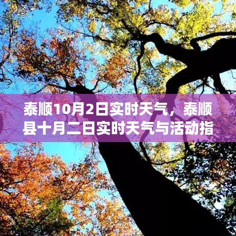 泰顺县10月2日实时天气及活动指南