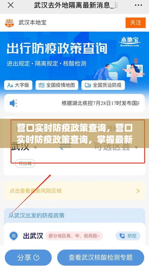 营口实时防疫政策查询，最新动态助力防疫长城建设