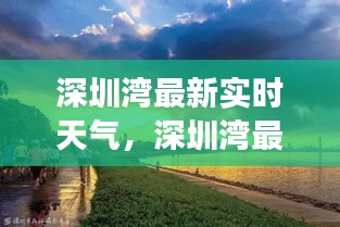 深圳湾实时天气探索，城市气象的魅力与影响