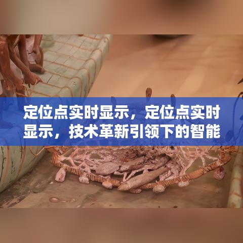 技术革新引领智能定位时代，实时定位点的显示与应用