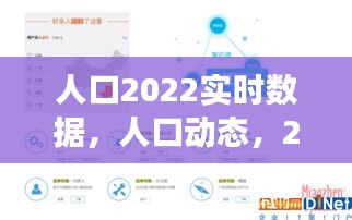 2022年人口实时数据洞察与分析，人口动态全面解析