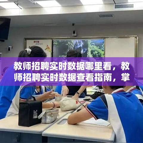 教师招聘实时数据查看指南，掌握最新信息，把握职业机遇