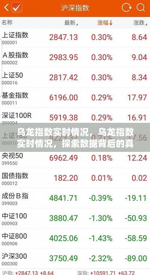 乌龙指数的真相探索与动态分析，实时数据背后的深度解读